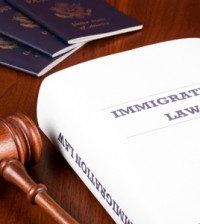 immigration law