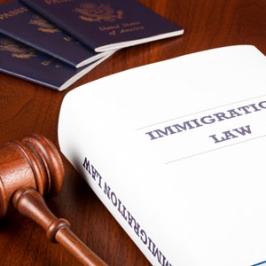 immigration law